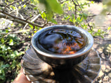 Wild 2019 Ancient-Tree Wild Yunnan White