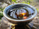 Wild 2019 Ancient-Tree Wild Yunnan White