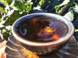 Wild 2019 Ancient-Tree Wild Yunnan White