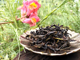 Pesticide-Free Ao Fu Phoenix Wulong ~ Ao Fu Dancong