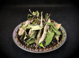 2025 Pesticide-Free Wild Shou Mei