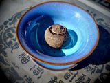 2018 Pesticide-Free Sky Horse Citrus-Stuffed Cooked Puer