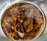 Pesticide-Free Ao Fu Phoenix Wulong ~ Ao Fu Dancong