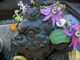 Tea Pets - Heini & Zhuni Fortune Frog