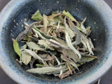 2019 Pesticide-Free Wild White Peony ~ Bai Mudan