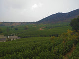 Pesticide-Free High Mountain Anji White Tea