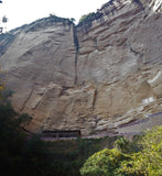 Old Bush Water Immortal Cliff Tea ~ Lao Cong Shui Xian Yan Cha