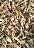 2008 Pesticide-Free Wild White Buds ~ Ye Bai Ya/Ya Bao
