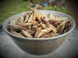 2008 Pesticide-Free Wild White Buds ~ Ye Bai Ya/Ya Bao