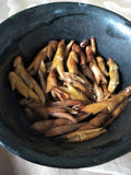 2008 Pesticide-Free Wild White Buds ~ Ye Bai Ya/Ya Bao