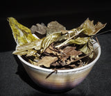 2015 Pesticide-Free Wild Gong Mei