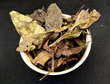 2015 Pesticide-Free Wild Gong Mei