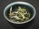 2019 Pesticide-Free Wild White Peony ~ Bai Mudan