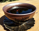 2006 Arboreal Yiwushan Shou (Cooked) Puer