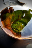 Wuyi Rare Orchid Cliff Tea ~ Qi Lan Yan Cha