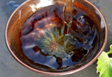 Wuyi Rare Orchid Cliff Tea ~ Qi Lan Yan Cha