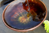 Wuyi Rare Orchid Cliff Tea ~ Qi Lan Yan Cha