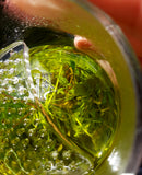 Cups - Glass - Infuser Cup With Built-In Strainer