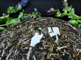 2022 Pre-Qingming Arboreal Dragon Tiger Sheng (Raw) Puer
