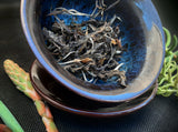 2022 Pre-Qingming Arboreal Dragon Tiger Sheng (Raw) Puer