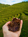 Organic Post-Qingming Harvest Dragonwell