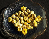 Flowering Chrysanthemum ~ Tai Ju