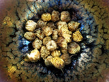 Flowering Chrysanthemum ~ Tai Ju