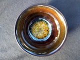 Tea Sets - Golden Sand