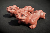Tea Pets - Zhuni Pixiu