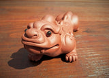 Tea Pets - Zhuni Pixiu