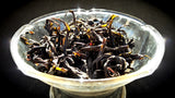 Pesticide-Free Rare Elixir Big Red Robe Cliff Tea ~ Qi Dan Da Hong Pao