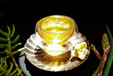 2022 Pre-Qingming Arboreal Dragon Tiger Sheng (Raw) Puer