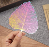 Filters - Bodhi Leaf