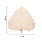 Filters - Bodhi Leaf
