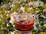 2010 Ancient Tree Lao Banzhang Shou (Cooked) Puer