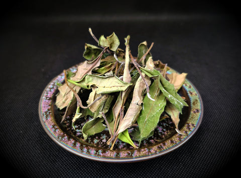2025 Pesticide-Free Wild Shou Mei
