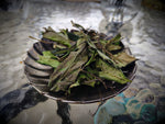 2025 Pesticide-Free Wild Shou Mei