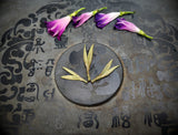 2025 Pesticide-Free Wild White Peony ~ Bai Mudan
