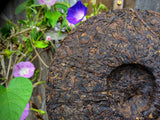 2021 Pesticide-Free Old Banzhang Dragon Mark Shou (Cooked) Puer