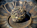 2018 Pesticide-Free Ice Island Dragon Pearls (Raw Puer)