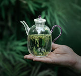 Teapots - Glass - Lavender-Handled