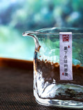 Pitchers - Glass - Tetra
