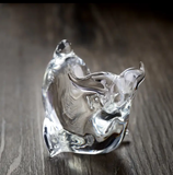 Filters - Glass - Dolphin