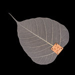 Filters - Natural Bodhi Leaf
