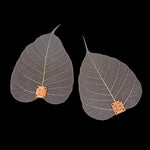 Filters - Natural Bodhi Leaf