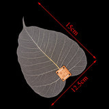 Filters - Natural Bodhi Leaf