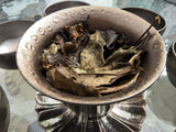 Tea Sets - Primordial Sage