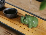 Tea Pets - Rhino
